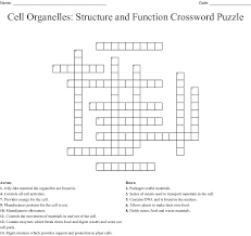 Check spelling or type a new query. Cell Organelles Crossword Wordmint