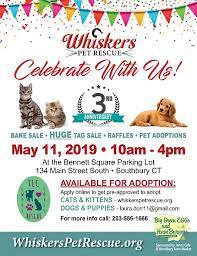 We are a primarily volunteer driven group with a number years experience with animals and rescue. Whiskers Pet Rescue S 3rd Anniversary Celebration In Southbury On Saturday