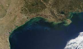 Get breaking news alerts from gulf news. Ask An Expert Reviving The Gulf Of Mexico S Dead Zone Union Of Concerned Scientists