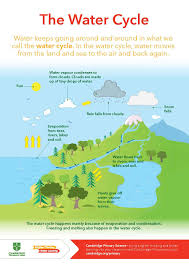 Cambridge Primary Science The Water Cycle In 2020 Cambridge Primary Primary Science Cambridge Curriculum