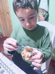 Um amor por temaki hot E tem que ser da tia Nancy Dutra ❤️🩵