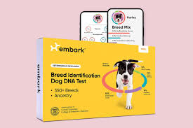 We did not find results for: Best Dog Dna Test Kits For 2021 By Money Money