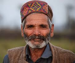 Gaddis The Shepherds Of Kangra