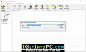 Push your internet connection to the limits and cleverly organize or. Internet Download Manager 6 31 Build 9 Idm Free Download