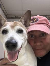 Pet Remembrance Day! 💕 : r/jackrussellterrier