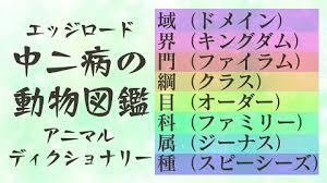 中二病の動物図鑑 英語の名前がかっこいい動物 180匹 創作に使えるかもしれない用語集