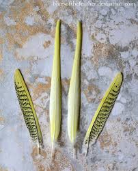 Did You Know Your Parrot'S Feathers All Have Different Purposes?