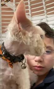 Jennifer Lopez Shares Rare Footage of Twins Max and Emme Over the Years For  17th Birthday