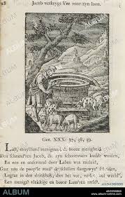 Jacob puts peeled off branches in the water troughs of the sheep, Jacob  sells cattle for his wages (title