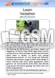 Klasse 1 klasse 2 klasse 3 klasse 4 klasse 5 klasse 6. Wolf 55 Sachtexte Tiere Sachtexte Tiere Sachthemen Hus Klasse 3 Grundschulmaterial De