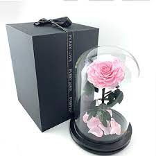 Roses in heart shaped box. China Beauty Beast Enchanted Bella Rose Preserved Flower In Glass Dome China Preserved Rose And Preserved Flower In Glass Price