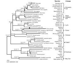A Review Of Friar W 2000 Baraminology Classification Of