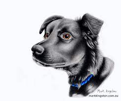 Find and compare custom pet paintings online. Custom Pet Portraits Australia Mark Kingston