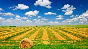 Saskatchewan was originally inhabited by first nations of the athapaskan, algonquian and siouan the one million inhabitants of saskatchewan, about 3.3 percent of canada's population, reflect the. Klimatabelle Saskatchewan Schneesicher Beste Reisezeit Wetter