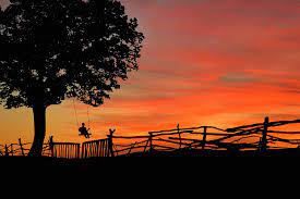 Select from premium silhouette sunset of the highest quality. Sunset Silhouette Freedom Free Photo On Pixabay