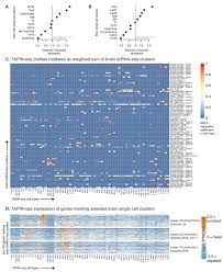 Từ huyền thoại năm phỉ tới kỳ nữ kim cương. A Genetic Genomic And Computational Resource For Exploring Neural Circuit Function Elife