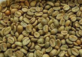 Roasting coffee beans with a home roasting machine. Home Roast Coffee