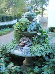 Account Suspended Garten Blumen Fur Garten Sukkulenten