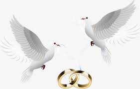 Dove Inlay Ring Ring Pigeon Feige Png Transparent Clipart Image And Psd File For Free Download Wedding Doves Tattoo Wedding Rings Wedding Rings
