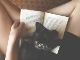 Kedi Cat Kitap Book Kadin Woman Cats Cat Love Cute Animals