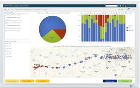 Sas Visual Analytics Pinnacle Solutions Inc