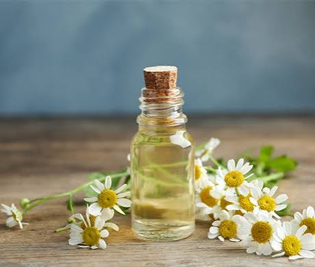 Chamomile Oil Manufacturer & Supplier in India