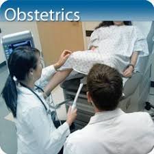 Ob Gyn Core Clinical Module Ultrasound Training Sonography Education And Training