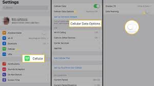 Check spelling or type a new query. How To Avoid Big Iphone Data Roaming Bills