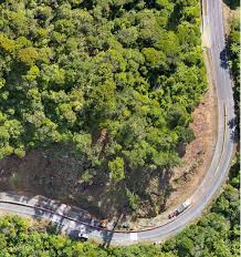 Northland news in brief: Wildlife care amid Mangamuka repairs; popular  walking tracks closed