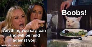 Pin By Daniel Tozzo On Cat Meme Funny Memes Images Funny Memes Morning Humor
