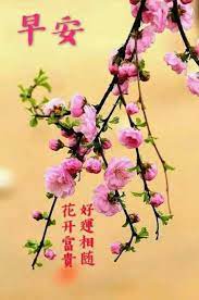 pin by c a ae on 早安花 good morning cards morning greeting good morning wishes