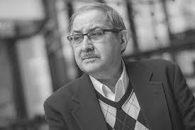 Sandra Fogel's Instagram, Twitter & Facebook