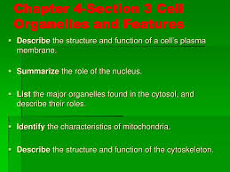 May 02, 2020 · cell organelles definition. Ppt Chapter 4 Section 3 Cell Organelles And Features Powerpoint Presentation Id 1714830