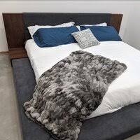 Find many great new & used options and get the best deals for defalco platform queen low modern bed frame at the best online prices at ebay! Foundry Select Defalco Low Profile Platform Bed Reviews Wayfair