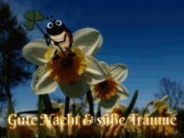 Guten morgen auf italienisch bilder. Kostenlose Gute Nacht Bilder Gifs Grafiken Cliparts Anigifs Images Animationen