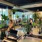 Art Market & Meet the Author at Plant Mode