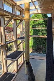 Outdoor cat enclosure attached to house. A Guide To Outdoor Cat Enclosures Catio World
