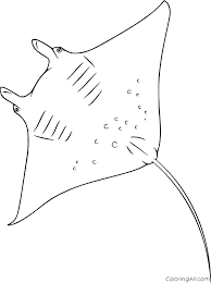 Easy manta ray coloring page for kids. Very Simple Giant Manta Ray Coloring Page Coloringall