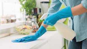 Disinfecting Household Surfaces: A Guide for Seniors and Caregivers - Companions For Seniors