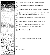 Make Life Easy Soil Classification