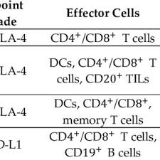 Manuel nunes marques adegas 1, 7400 ponte de sor, portugāle. Pdf Application Of Nanomaterials In Biomedical Imaging And Cancer Therapy