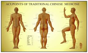 acupuncture chart human energy and the physical body united