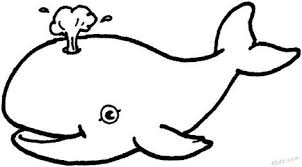 Hayvan Boyama Sayfalari Ile Ilgili Gorsel Sonucu Kleurplaten Kleurboek Walvis Tekening