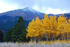 Maybe you would like to learn more about one of these? Mount Silverheels Wikipedia