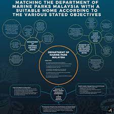 Variety in video sampling protocol for coral reef survey worldwide has prompted this study tocreate an optimized protocol for coral video transect (cvt) technique for coral reef survey in malaysia. Looking Out For Malaysia S Marine Resources The Asean Post