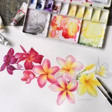 52 Ideas Drawing Flowers Watercolour Water Colors Flower Drawing Pink Drawing Watercolor Flowers Paintings