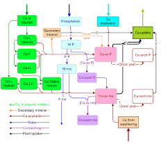 Flow Chart Of The Calcium Dynamics Model Download