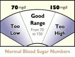 Diabetic Information For Cats