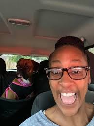 Snowy daycare and boarders having fun today