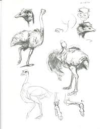 Black Sketch Book Scans98 Jpg 1700 2186 Animal Sketches Life Drawing Animal Drawings